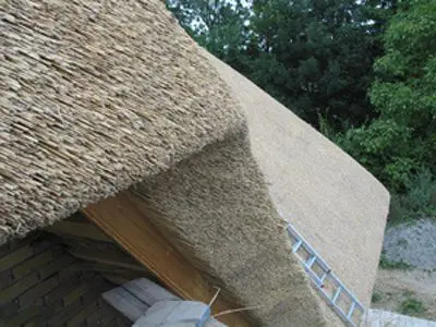 Wanneer de houdbaarheidsdatum van het impregneren is verstreken, moet riet opnieuw behandeld worden.