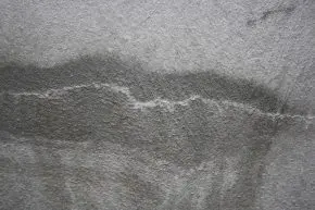 Een scheur die hersteld is door de
bacteriën in ER7.