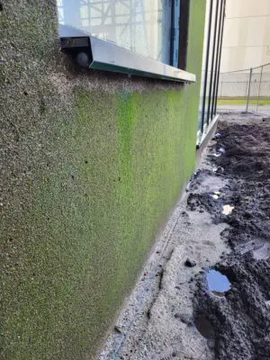 De gevels van het kantoorgebouw in Noord-Limburg zijn langzaam aan het vergroenen.