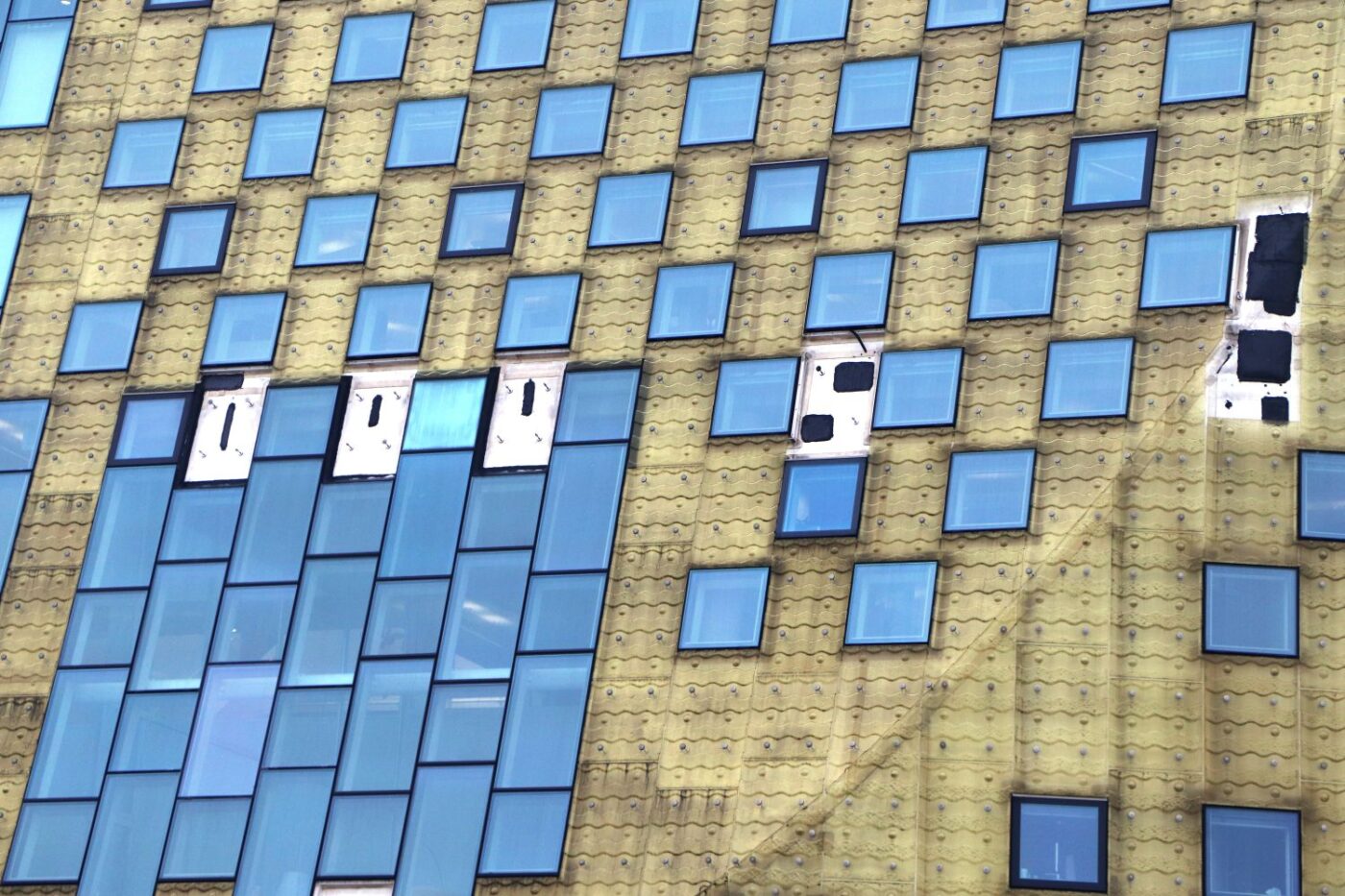 houtrot gemeentehuis Hardenberg