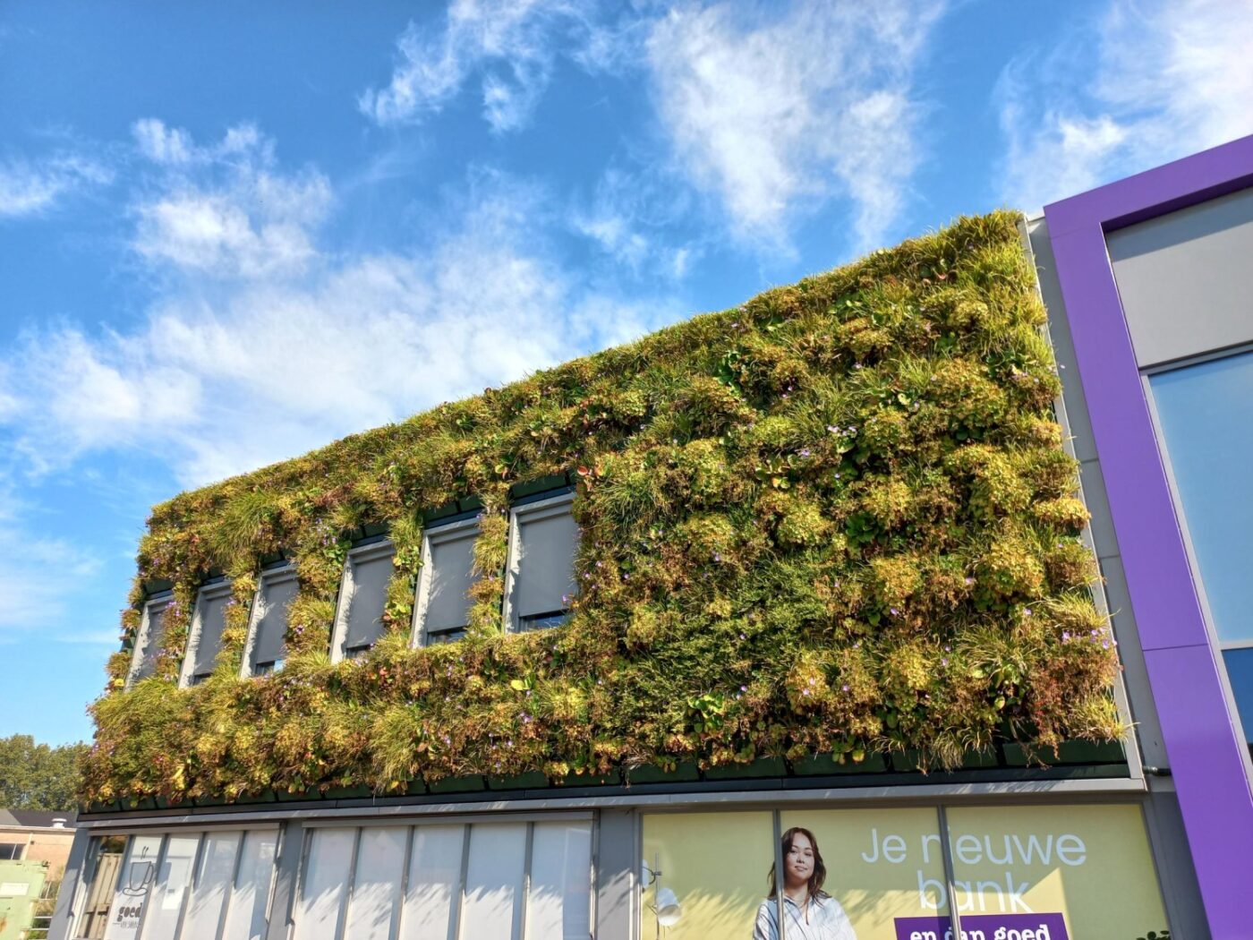 groene gevels brandveiligheid