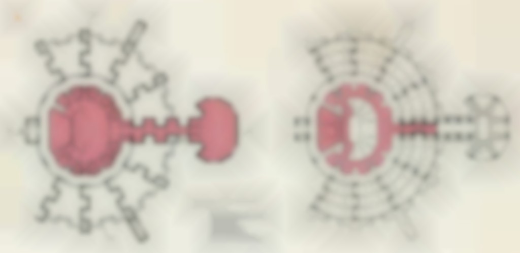 montessorischool Kralingen